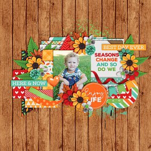 PHIN_enjoylife_ttt_specialmoments_template3-copy