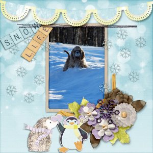Snow-life