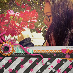 December 2016 Brush Challenge