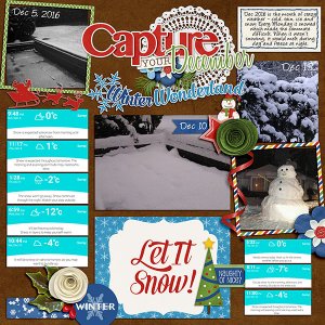 Snow in December 2016