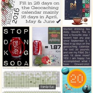 2016 In review for December Daily