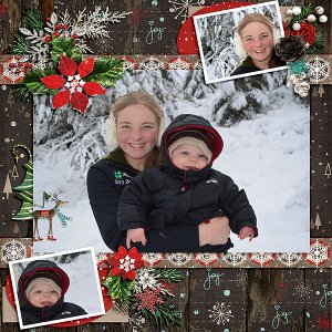LDragDesigns_HolidayWishes_Danni2016_copy