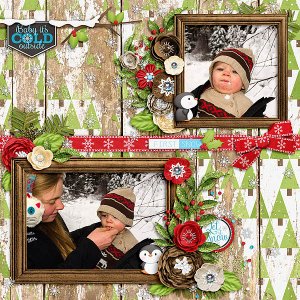 JustSoScrappy_WinterWhimsies_Danni12-2016_copy