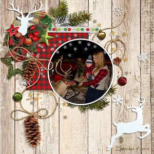 Meeting Reindeer