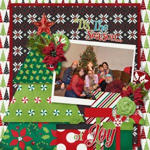 Tis The Season of Joy