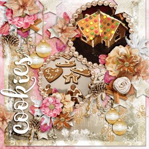 Cookies13