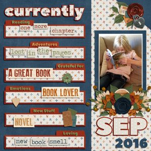 one-more-chapter