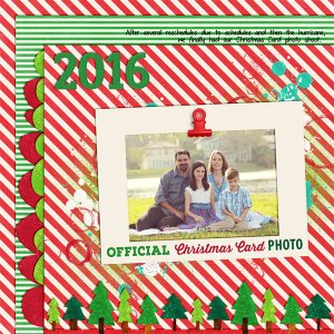 12_2016_Christmas_Card_photo