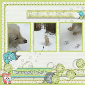 Woodland Winter