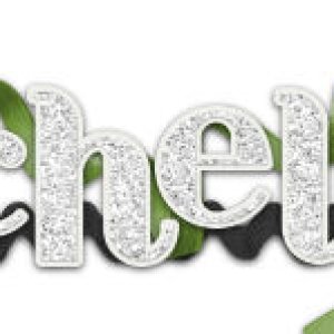 January 2017 Signature