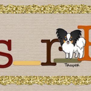 Glitter Siggy