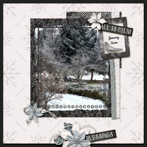 01_Jan-Snow
