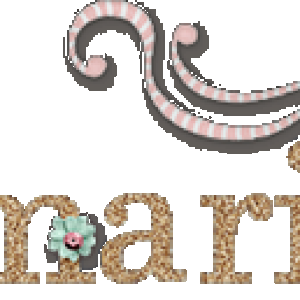 Annemaries Jan 2017 Siggy