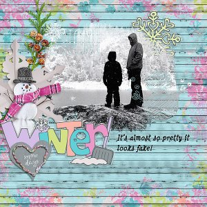 Winter Snow day