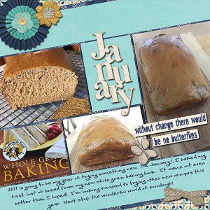 January Journal 2017