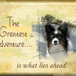 ATC 2017-03 The Greatest Adventure
