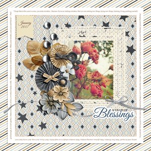 January 2017 A year of Blessings - Seatrout Challenge