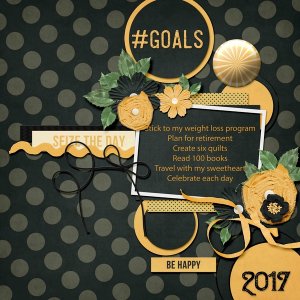 2017 Goals