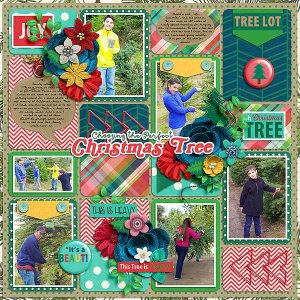 20161127_CutYourOwnTree_Left_WEB