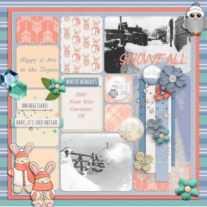sandie03-WInterWish 1960snowfall