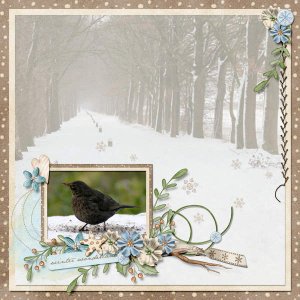 Winter wonderland