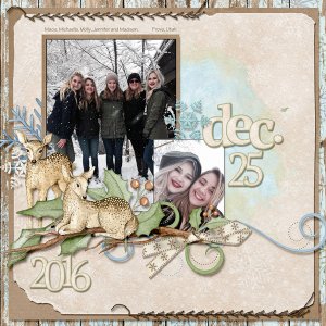 Dec. 25, 2016