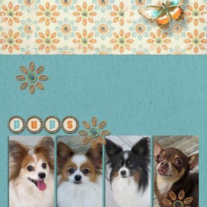 Pups