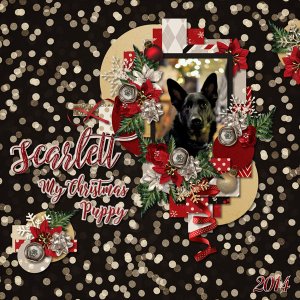 Scarlett - My Christmas Puppy