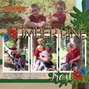 limber Pine