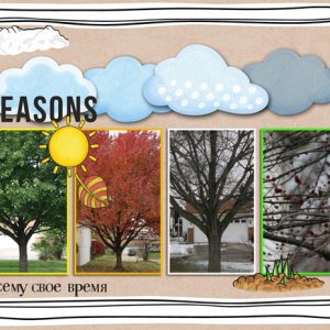 Seasons