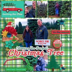 2016 Christmas Getting the Tree
