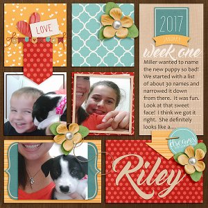 Riley