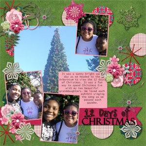 12 Days of Christmas