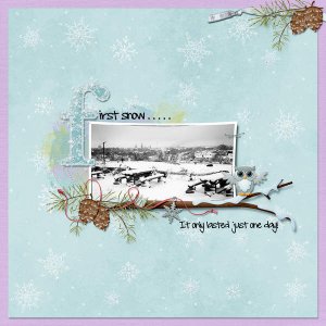 First snow