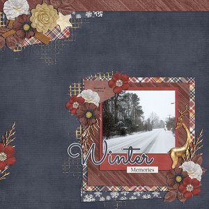 winter memories