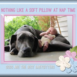 Babysitter Pillow