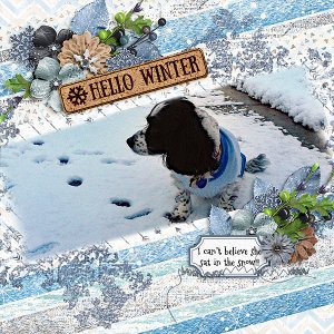 Hello Winter!