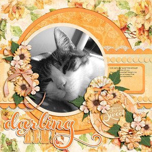 Darling Remi