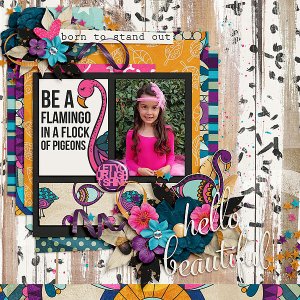 Be a Flamingo