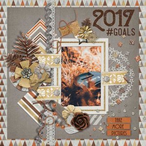 2017 #Goals
