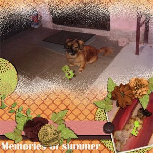 Summer time