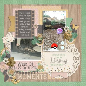 Jan Designer Spotlight Challenge