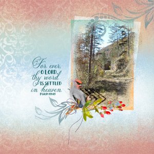 Seatrout January Jigsaw Templates