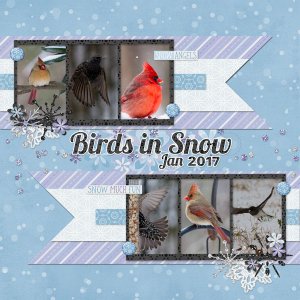 20170106-FirstSnow2