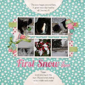 20170106_FirstSnow1