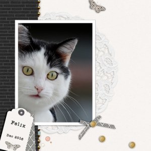 Ga_L-Playing-with-tags-B---portait--9-janvier-2017