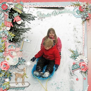 Winter Wonderland