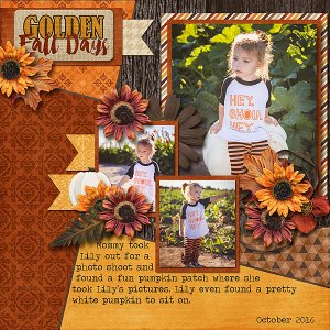 Golden Fall Days