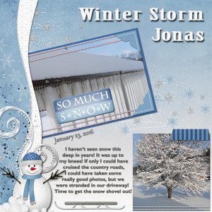 Winter Storm Jonas