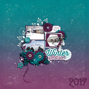 January Snow